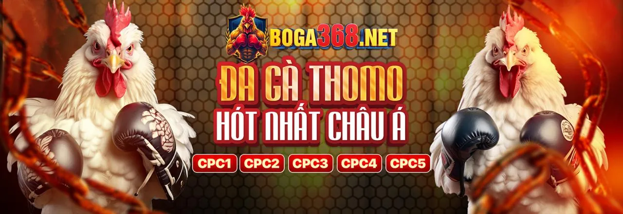 Đá Gà Trực Tuyến 88cbl nổ hũ